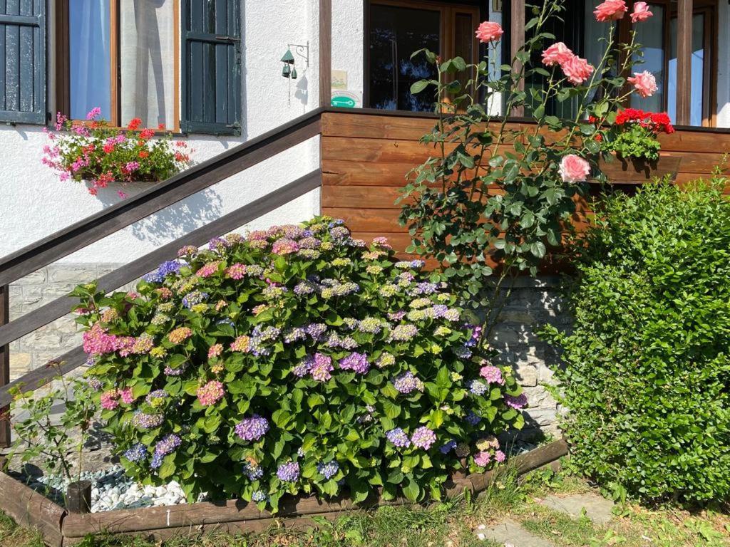 Bed & Breakfast La Soldanella *